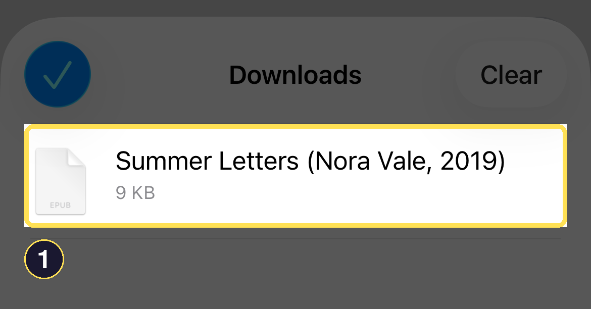 The iPhone Safari Downloads list showing the received Summer Letters EPUB file.